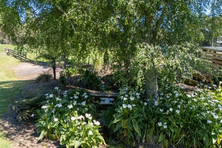 Photo of property in 995f Purangi Road, Cooks Beach, Whitianga, 3591