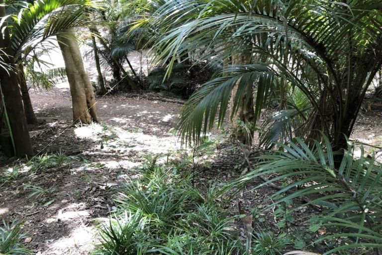 Photo of property in 28 Hobson Street, Maeroa, Hamilton, 3200