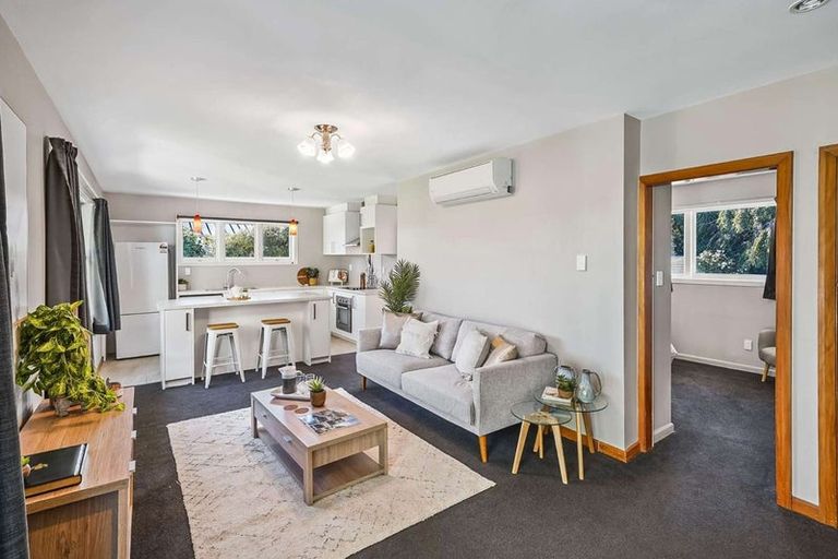 Photo of property in 47 Middlepark Road, Sockburn, Christchurch, 8042