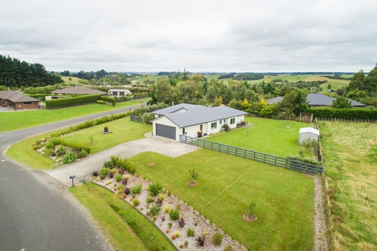 Photo of property in 12 Wapiti Avenue, Feilding, 4775