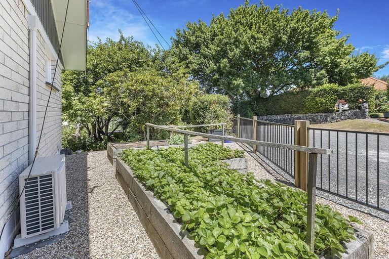 Photo of property in 40 Bank Street, Morrinsville, 3300