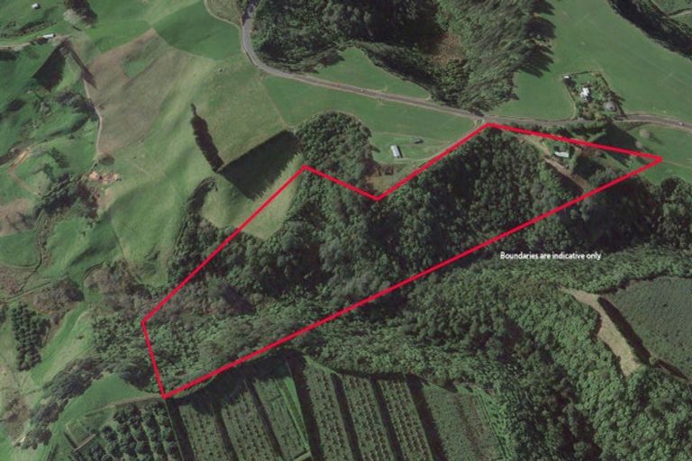 Photo of property in 356 Omanawa Road, Omanawa, Tauranga, 3171