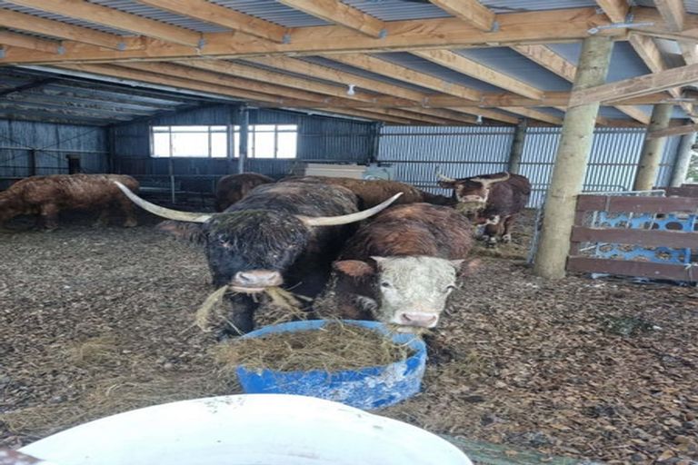 Photo of property in 447 Waddle Road, Waikana, Gore, 9772