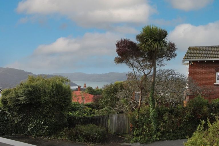 Photo of property in 19a Sheen Street, Roslyn, Dunedin, 9010