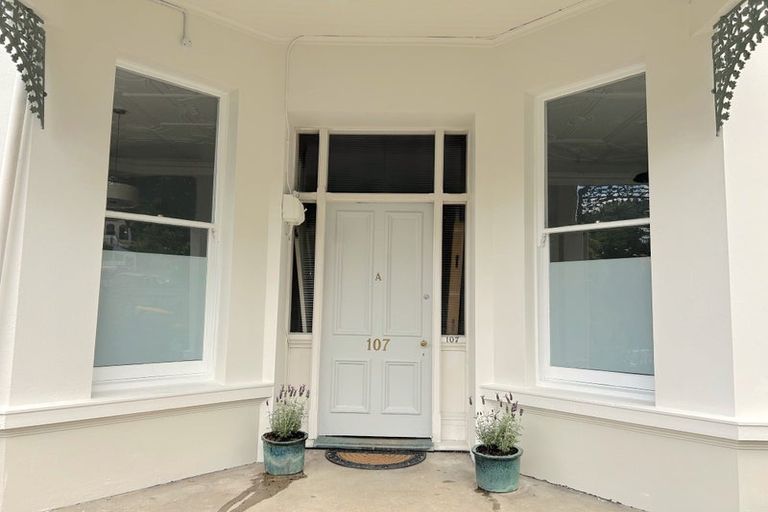 Photo of property in 107 Stafford Street, Dunedin Central, Dunedin, 9016