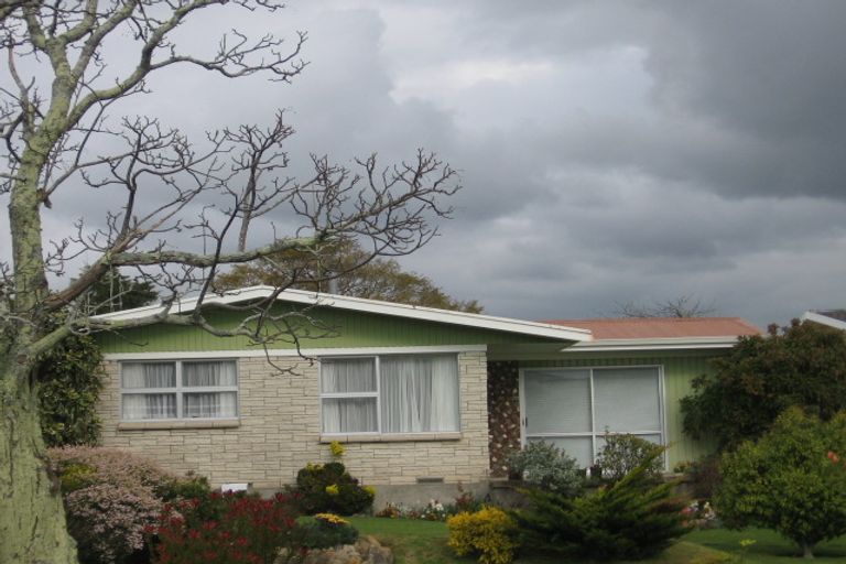 Photo of property in 12 Audrey Place, Matua, Tauranga, 3110