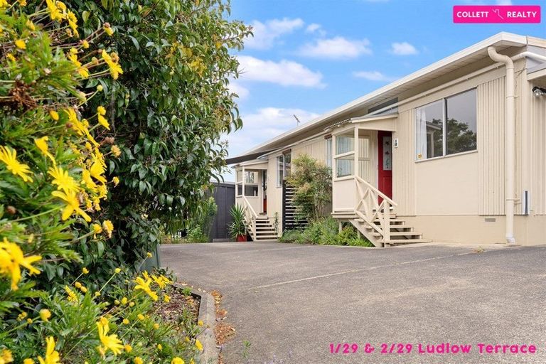 Photo of property in 1/29 Ludlow Terrace, Totara Vale, Auckland, 0627