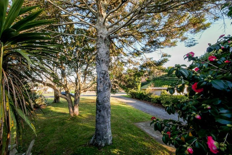 Photo of property in 3 Ngaio Road, Raumati Beach, Paraparaumu, 5032