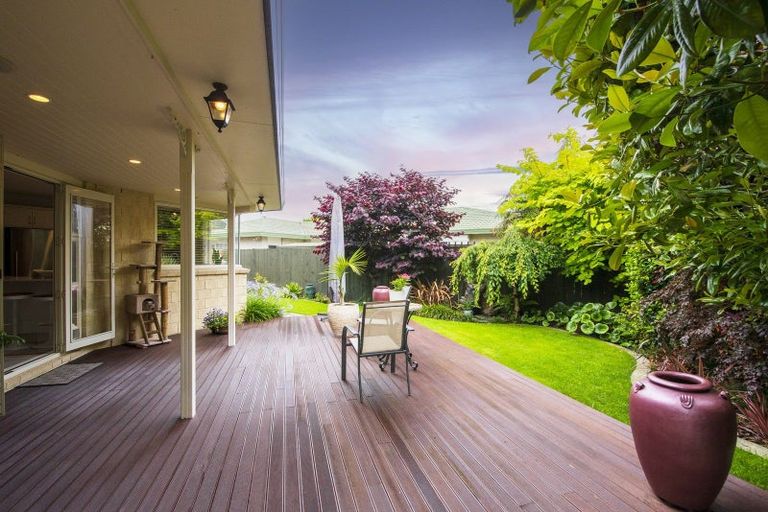 Photo of property in 11a Kent Street, Levin, 5510