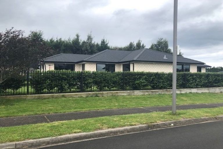 Photo of property in 2 Hoggard Street, Vogeltown, Wellington, 6021