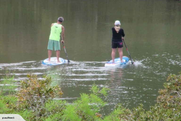 Photo of property in 754 Matakana Road, Warkworth, 0985