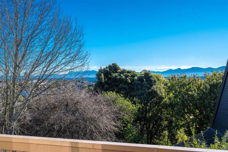 Photo of property in 1/12 Farnham Drive, Richmond, 7020