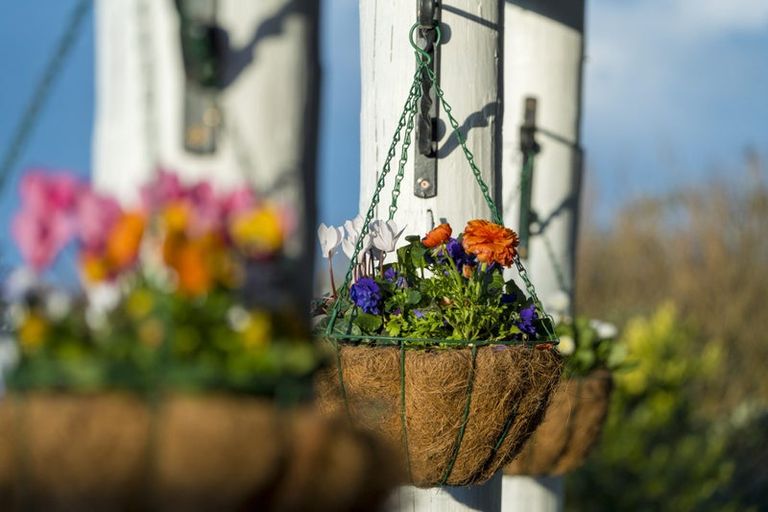 Photo of property in 81 Spence Road, Henderson, Auckland, 0612