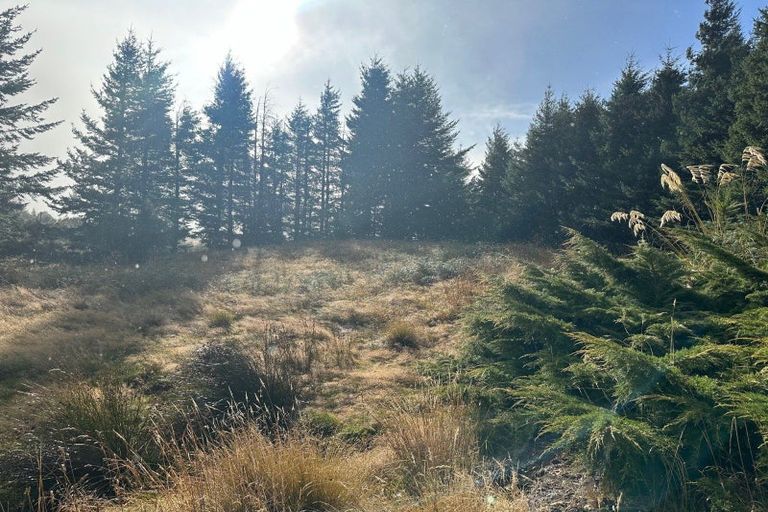 Photo of property in 1 Mount Lyford Avenue, Lyford, Waiau, 7395