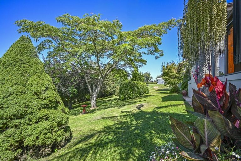 Photo of property in 238a Poraiti Road, Poraiti, Napier, 4182