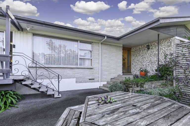 Photo of property in 31 Tanner Street, Havelock North, 4130