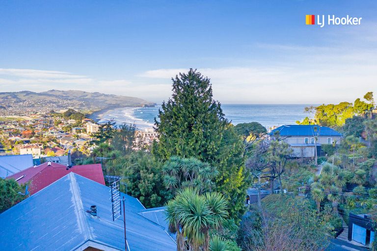 Photo of property in 118 Bedford Street, Saint Clair, Dunedin, 9012