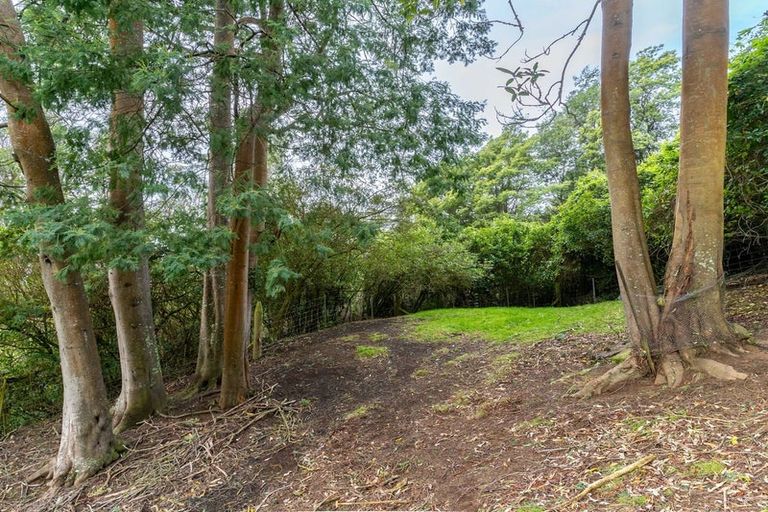 Photo of property in 38 Coombe Hay Terrace, Careys Bay, Port Chalmers, 9023