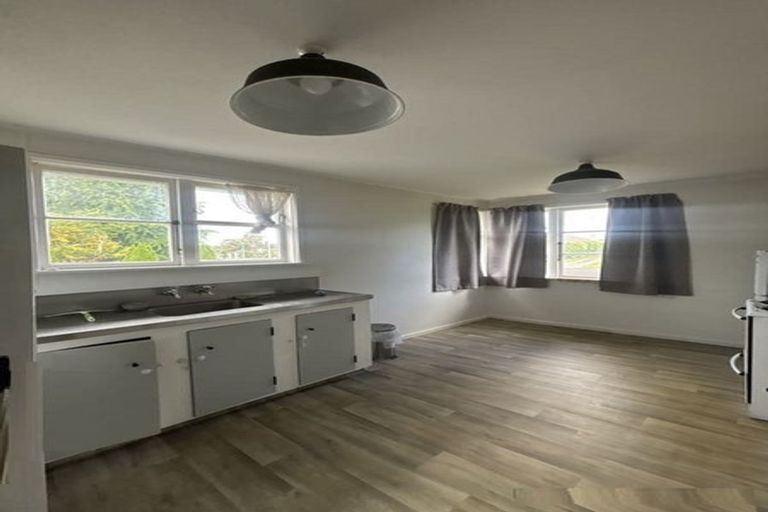 Photo of property in 9 Clothier Street, Putaruru, 3411