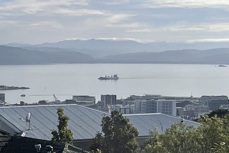 Photo of property in 29 Tanera Crescent, Brooklyn, Wellington, 6021