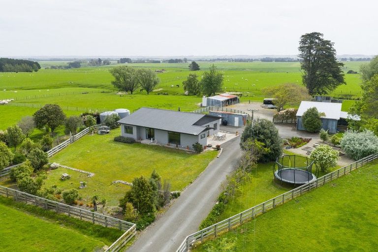 Photo of property in 1193 Taonui Road, Colyton, Feilding, 4775