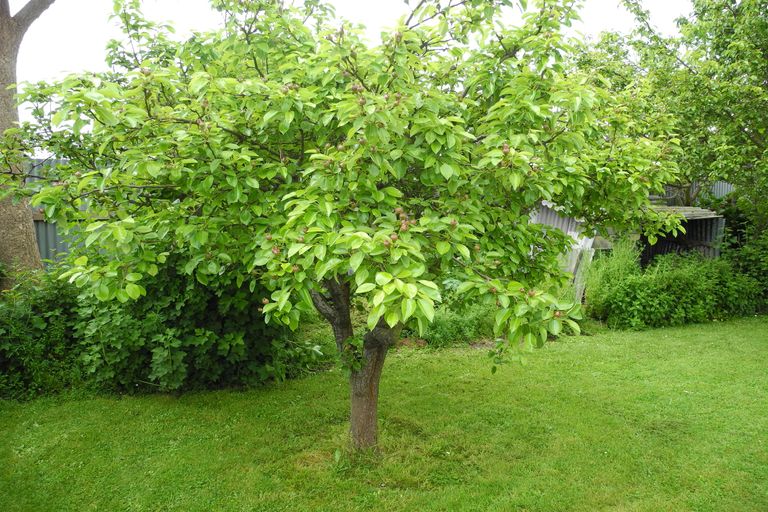 Photo of property in 56 Rhodes Street, Waimate, 7924