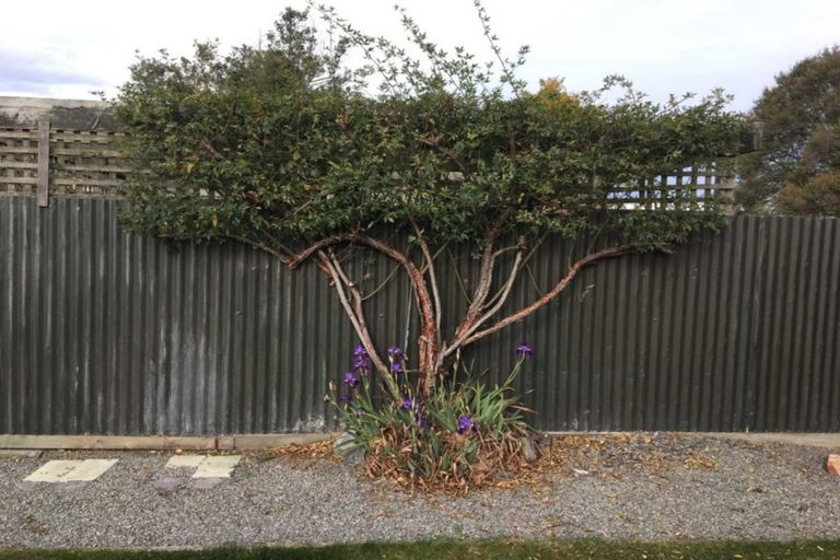 Photo of property in 269 Moore Street, Ashburton, 7700