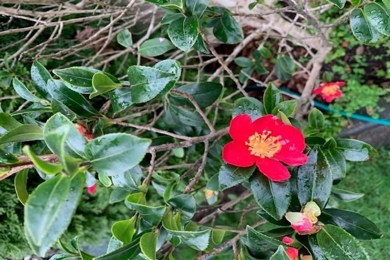 Photo of property in 30a King Street, Taradale, Napier, 4112