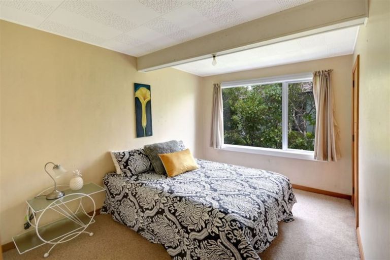 Photo of property in 155 Signal Hill Road, Opoho, Dunedin, 9010