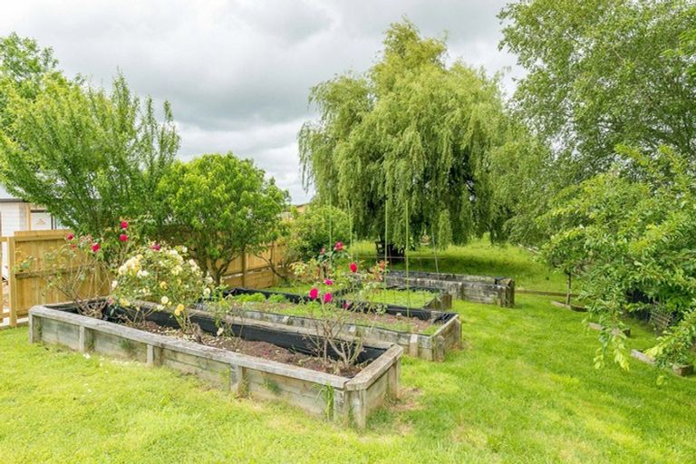 Photo of property in 452 Cambridge Road, Te Awamutu, 3800