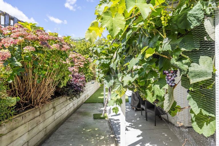 Photo of property in 107 Meddings Crescent, Te Awamutu, 3800