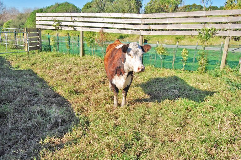 Photo of property in 27 Waterview Crescent, Kaiwaka, 0573