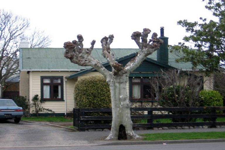 Photo of property in 159 Renall Street, Masterton, 5810