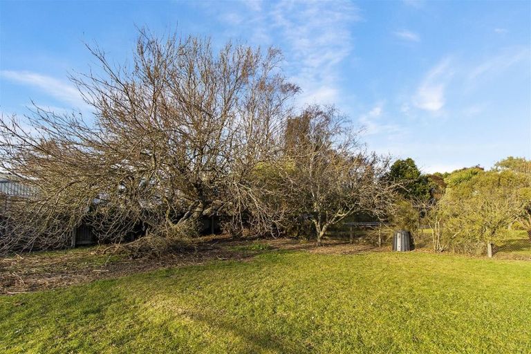 Photo of property in 3 Point Bush Road, Waimate, 7924