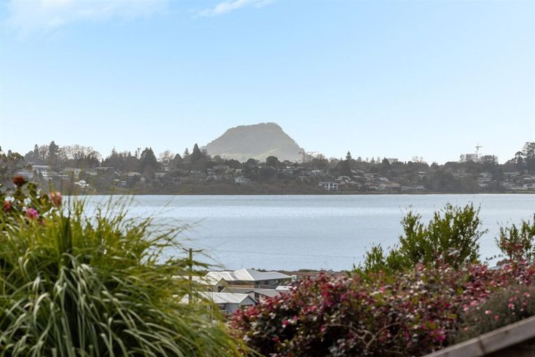 Photo of property in 99 Sapphire Drive, Hairini, Tauranga, 3112