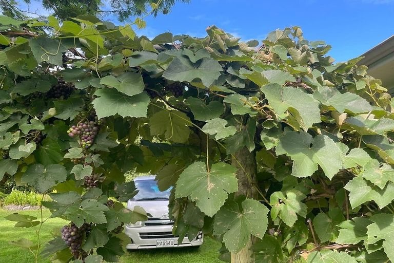 Photo of property in 3 West Beach Road, Mohaka, Wairoa, 4189