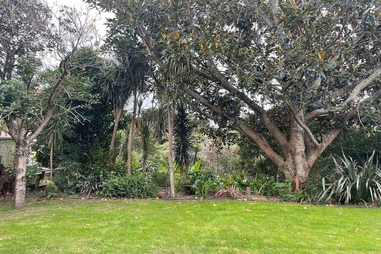Photo of property in 3 Miro Street, New Lynn, Auckland, 0600