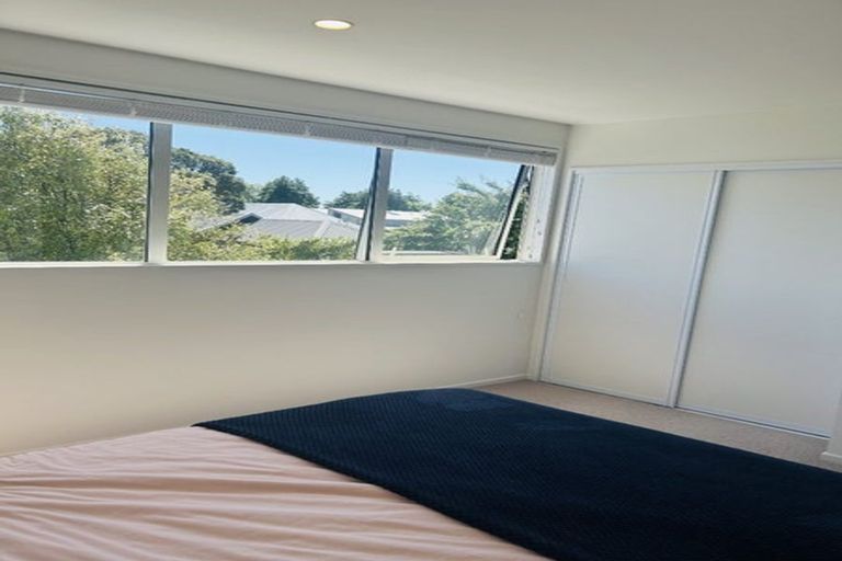 Photo of property in 2/17 Ward Street, Addington, Christchurch, 8024