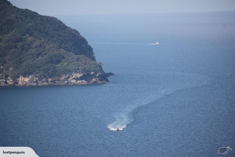 Photo of property in 14 Pacific Drive, Tairua, 3508