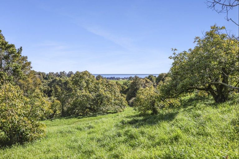 Photo of property in 144a Rocklands Road, Clifton, Takaka, 7183