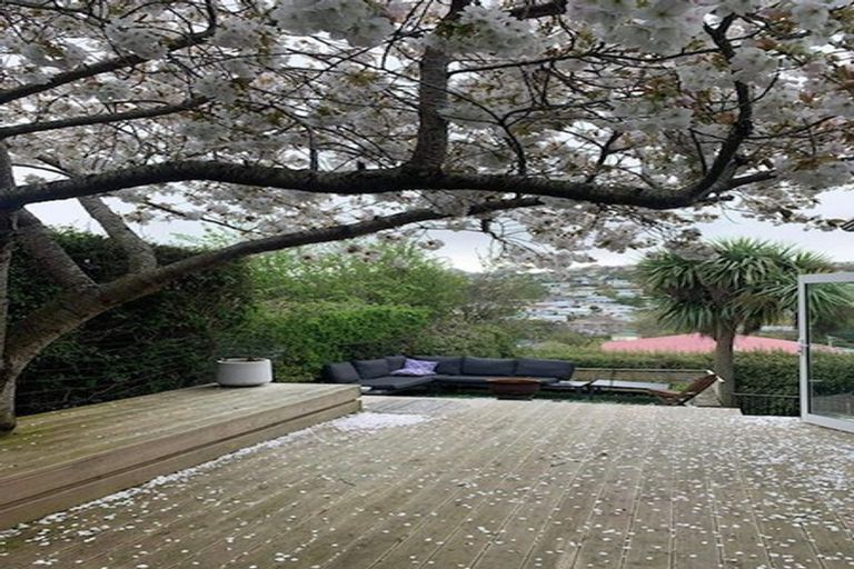 Photo of property in 46 Walton Street, Kaikorai, Dunedin, 9010