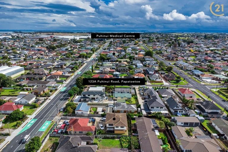 Photo of property in 123 Puhinui Road, Papatoetoe, Auckland, 2104