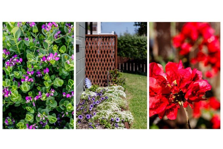 Photo of property in 218 Ocean Road, Ohope, 3121