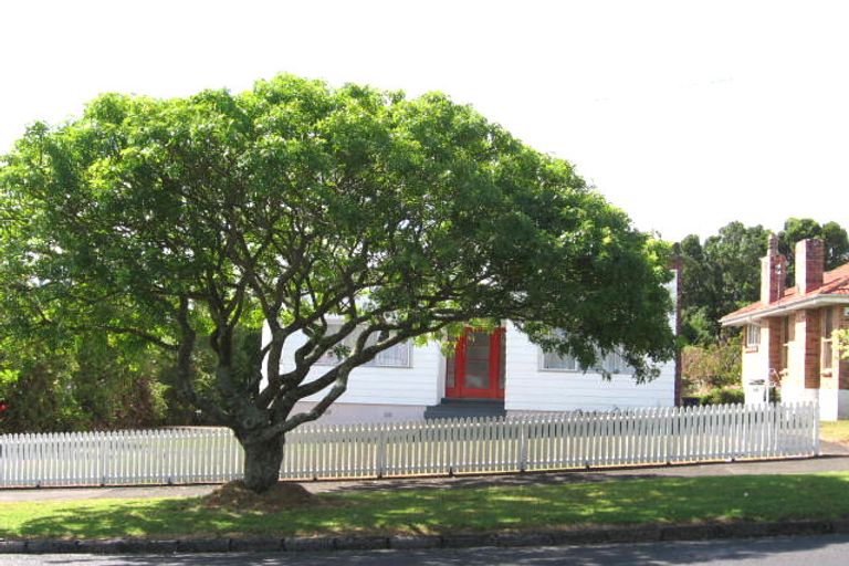 Photo of property in 88 Gardner Avenue, New Lynn, Auckland, 0600