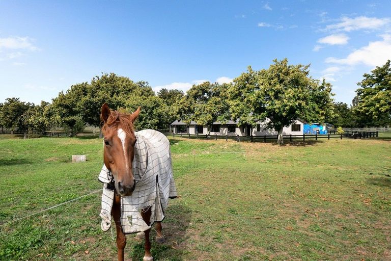 Photo of property in 1233a Gordonton Road, Gordonton, Taupiri, 3791