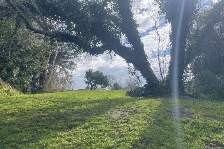 Photo of property in 102 Tirau Street, Putaruru, 3411