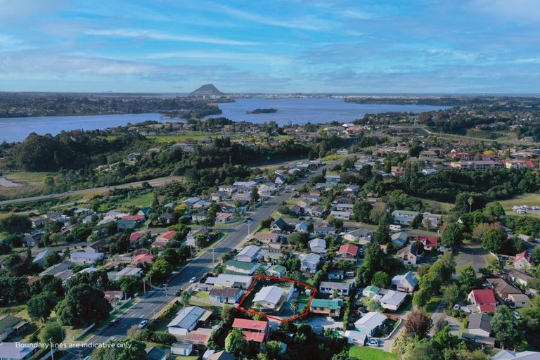 Photo of property in 124 Ohauiti Road, Hairini, Tauranga, 3112