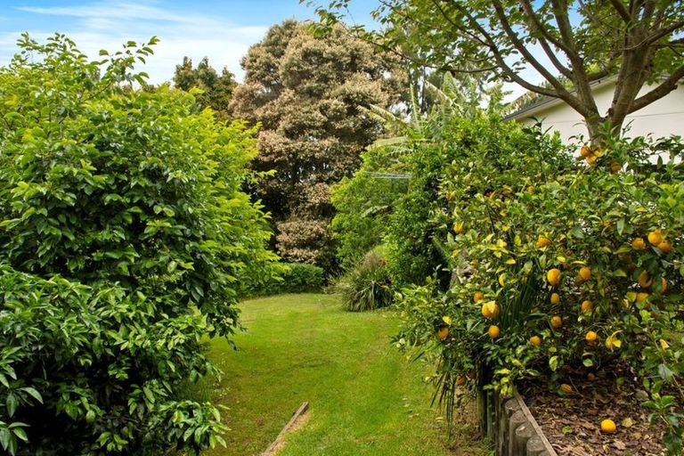 Photo of property in 24 Bellfield Place, Bethlehem, Tauranga, 3110