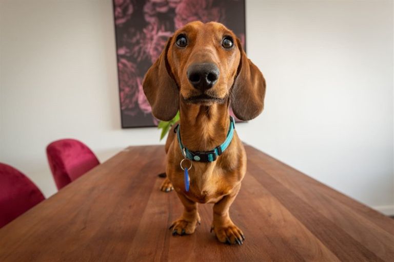 Photo of property in The Foundry, 408/36b Welles Street, Christchurch Central, Christchurch, 8011