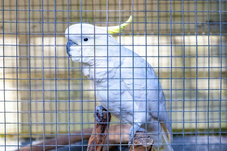 Photo of property in 365 Mill Creek Road, Kaimarama, Whitianga, 3591